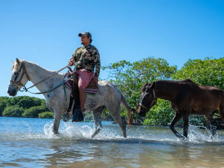 Guide on horseback leading a horse through shallow water at Charankako Bay