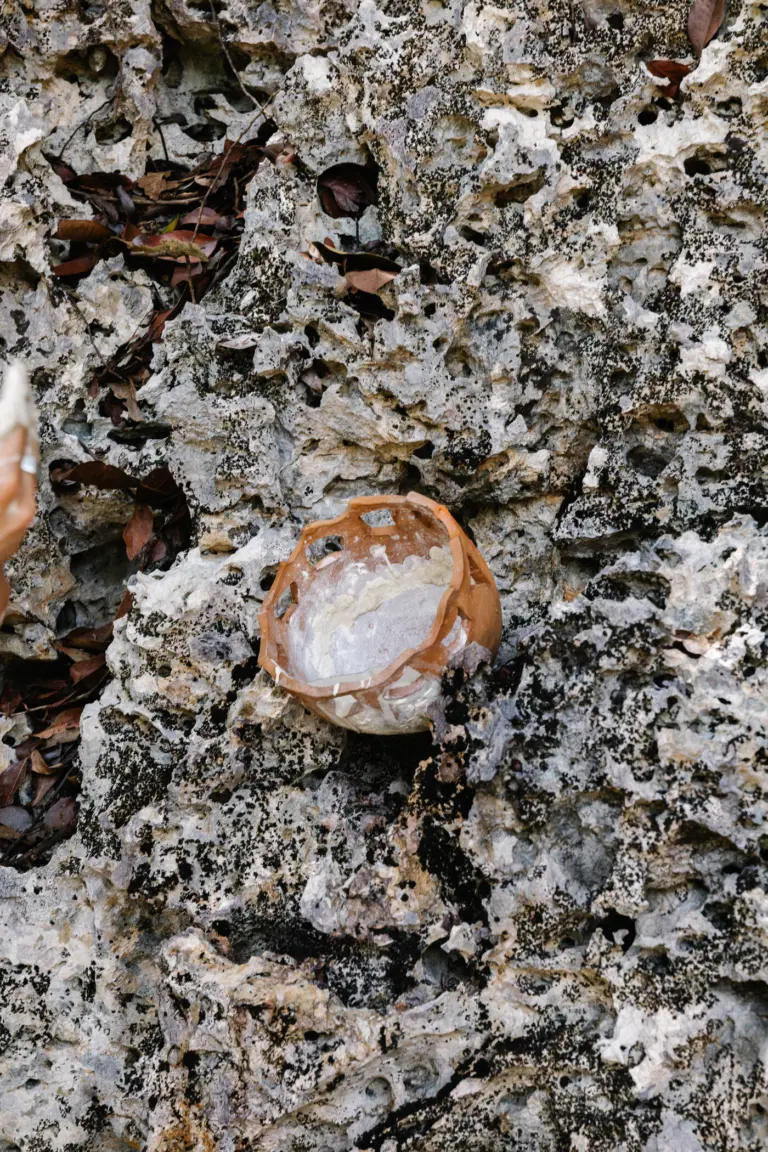 A terracotta bowl of mineral clay set into a niche in the coral limestone wall