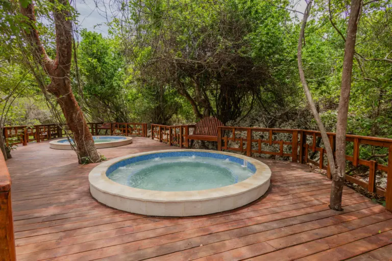 Two empty hydrotherapy jacuzzis on the wooden deck, ringed by mangrove forest