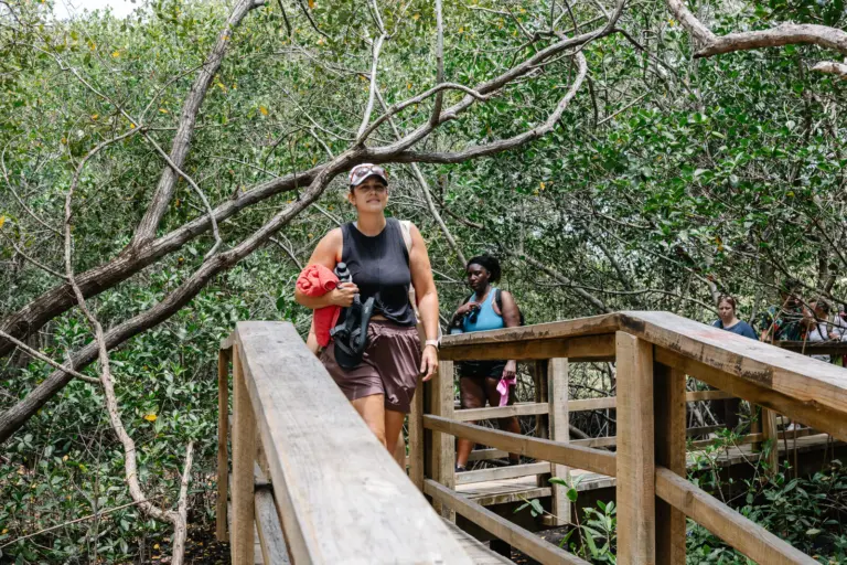 Wooden mangrove boardwalk leading to the Nature Spa at Charankako Bay